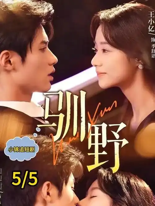 长夜迷案 热播电视剧全集在线观看